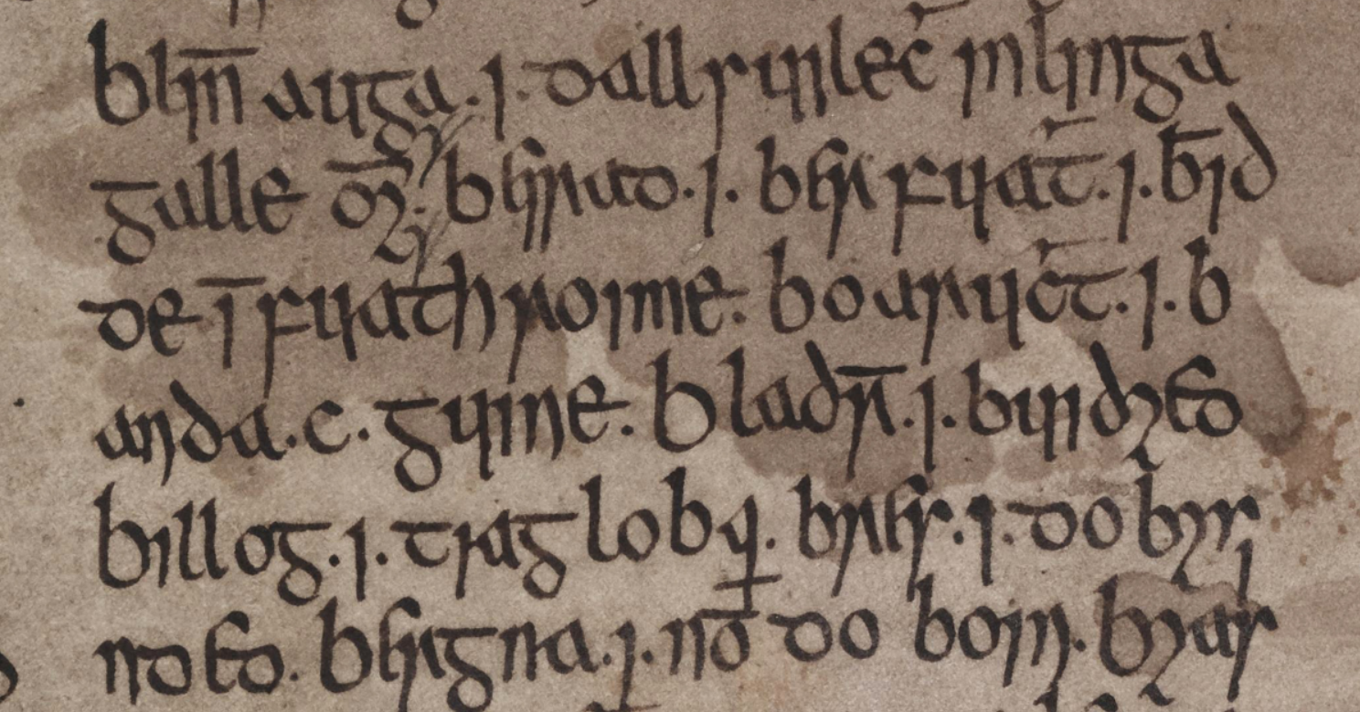 Did a medieval Irish manuscript uncover a new word of Old Dutch?